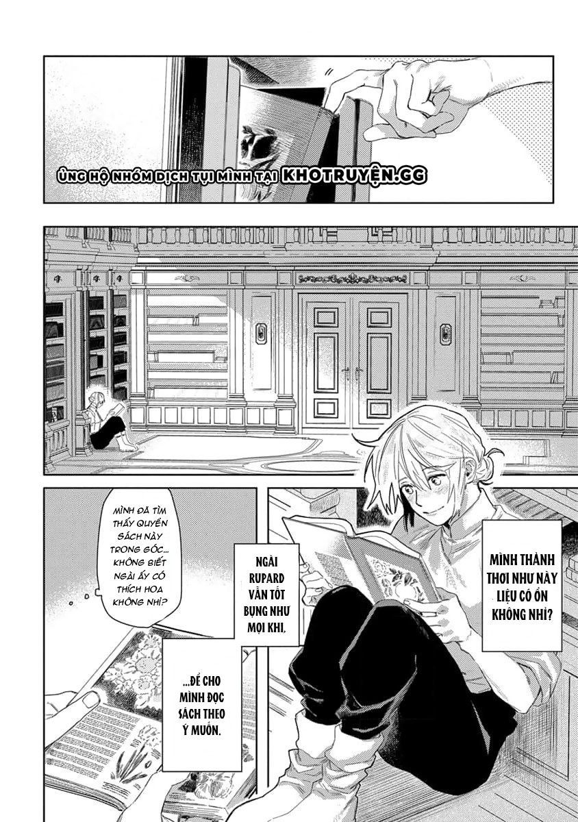 tình yêu hoa hồng dại chapter 3 6