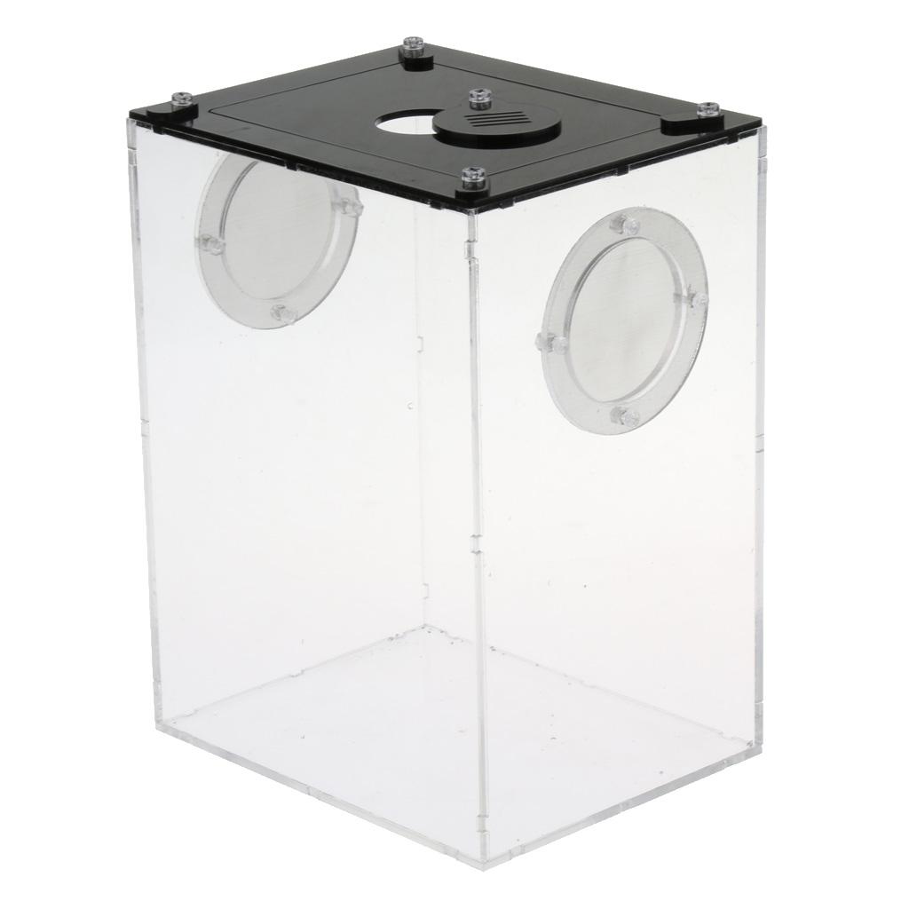 Mini Reptile Acrylic Terrarium Full View Visually Reptile Habitat Box
