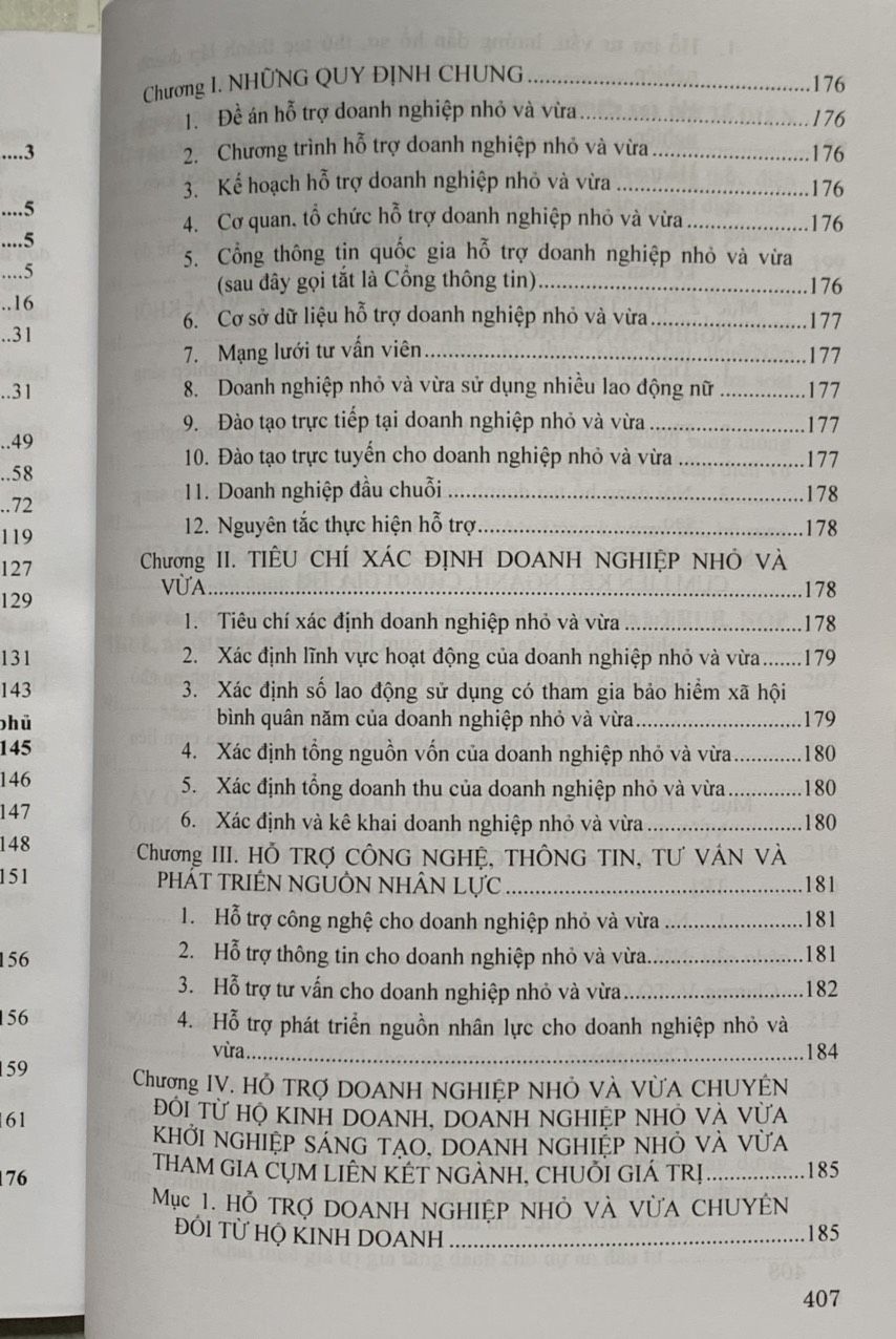 Hướng Dẫn Thi Hành Luật Doanh Nghiệp & Những Điều Cần Biết Trong Hoạt Động Kinh Doanh Của Doanh Nghiệp