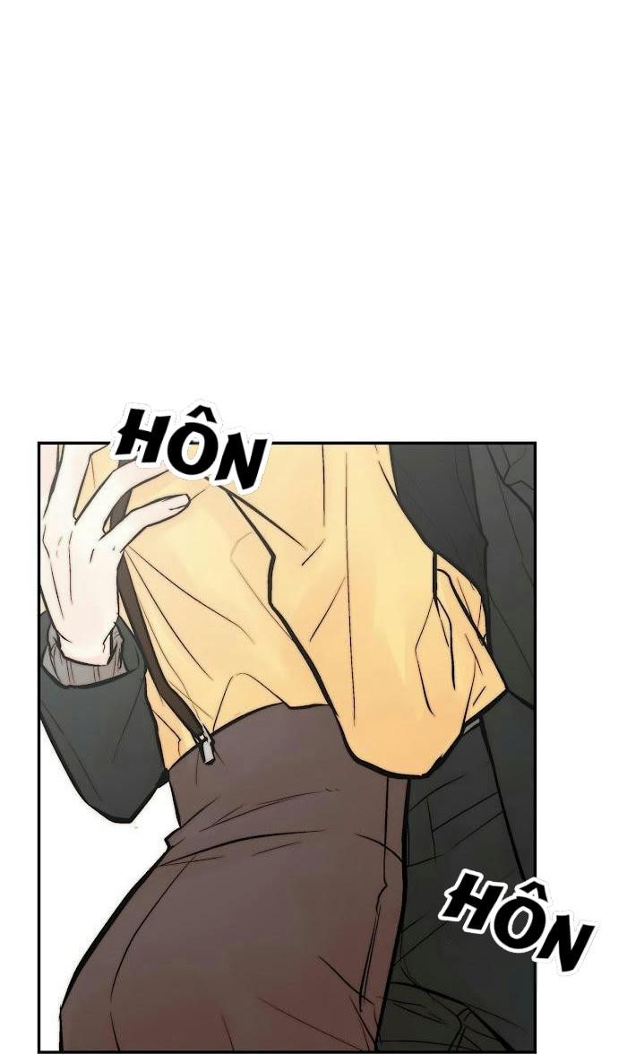 trú ẩn - haven chapter 22.5 11