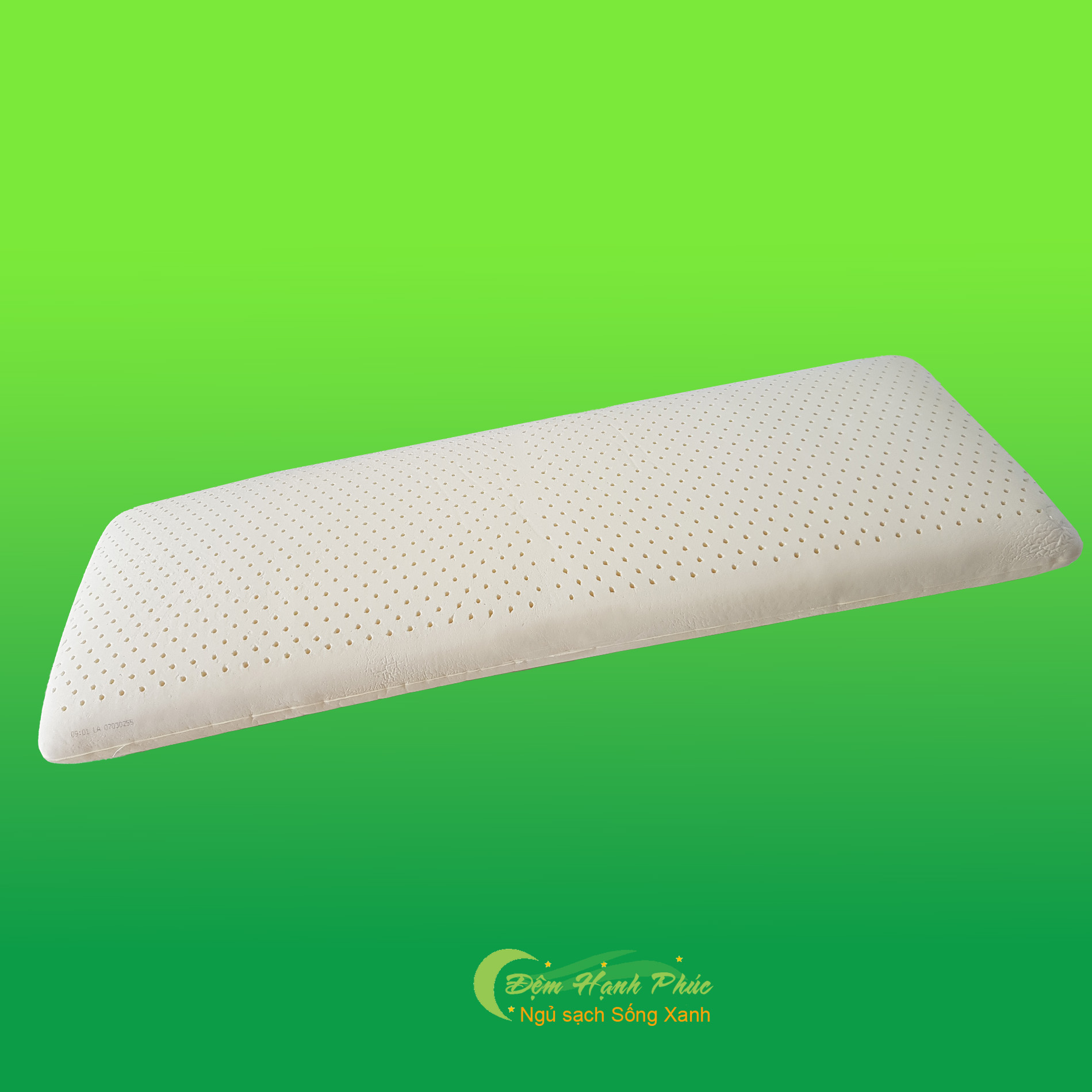 Gối đôi cao su Liên Á Oval 45x130x13cm