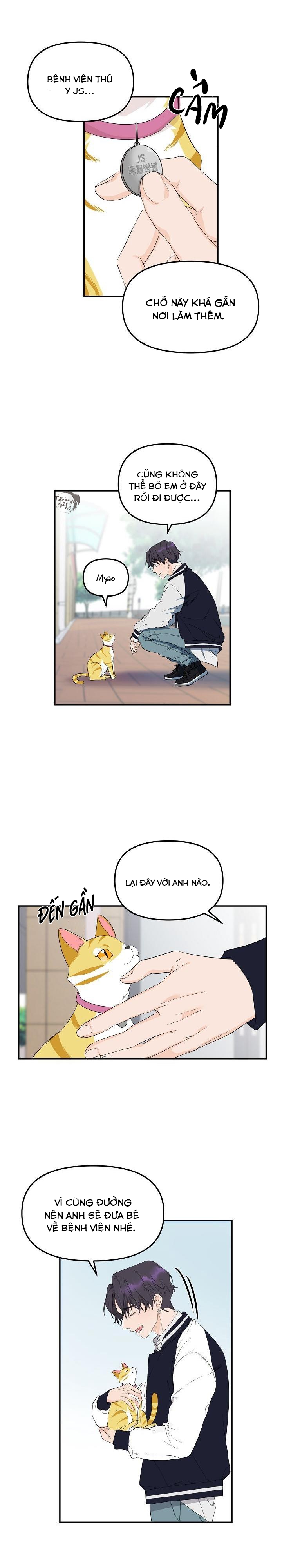 hoa ly hổ chapter 1 9