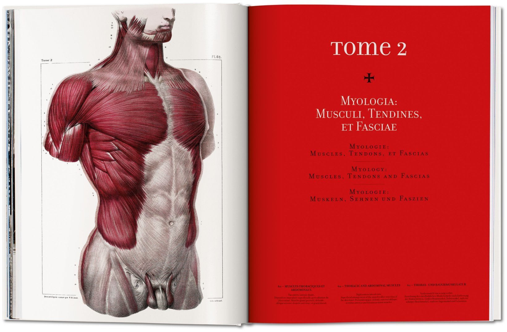 Artbook - Sách Tiếng Anh - Atlas of Human Anatomy and Surgery