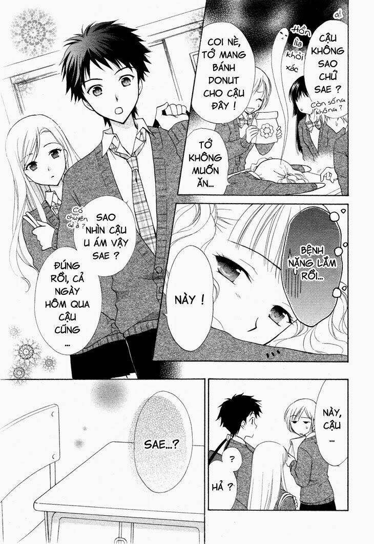 hatsukoi lunch box chapter 4 9