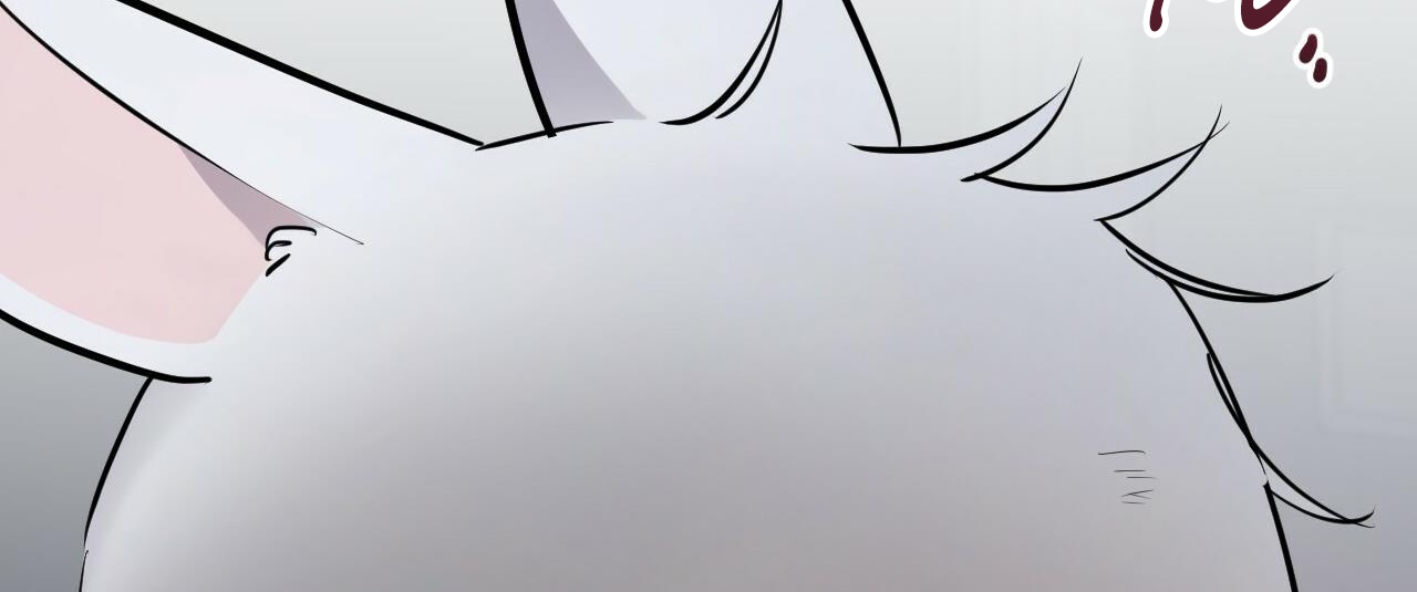 đàn thỏ của habibi chapter 46 301