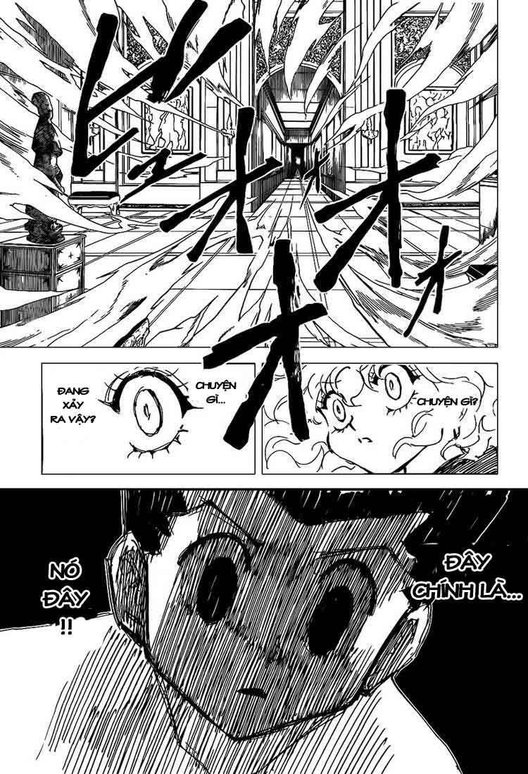 Hunter X Hunter Chapter 305 - Trang 13