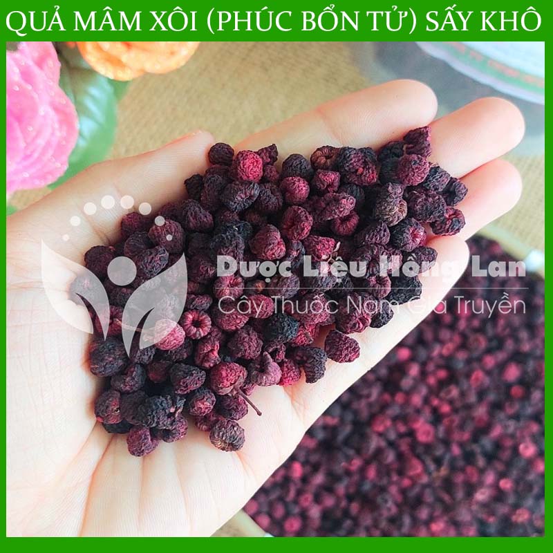 100G Phúc Bổn Tử (Quả Mâm Xôi) sấy khô thượng hạng loại 1