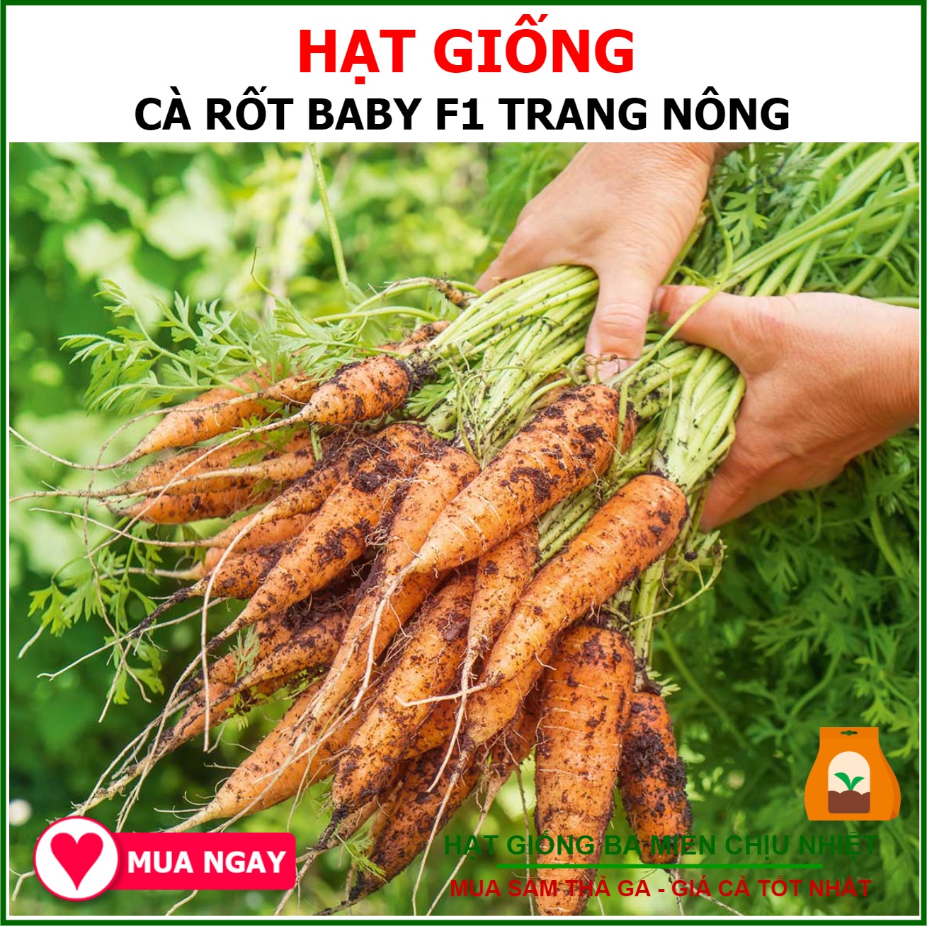 Hạt Giống Cà Rốt Baby Gói 2gram Sen Vàng