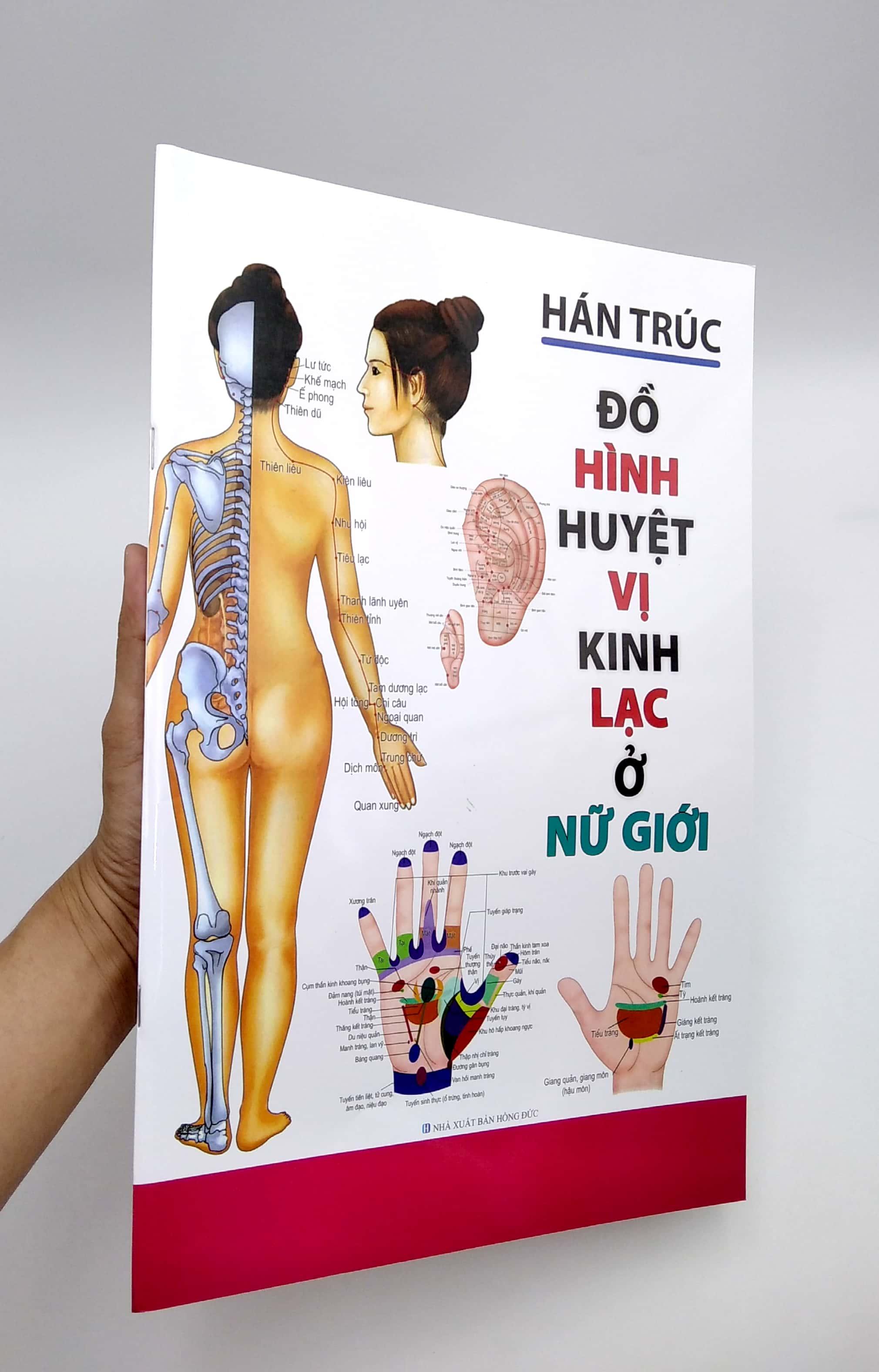 Đồ Hình Huyệt Vị Kinh Lạc Ở Nữ Giới (Tái Bản)