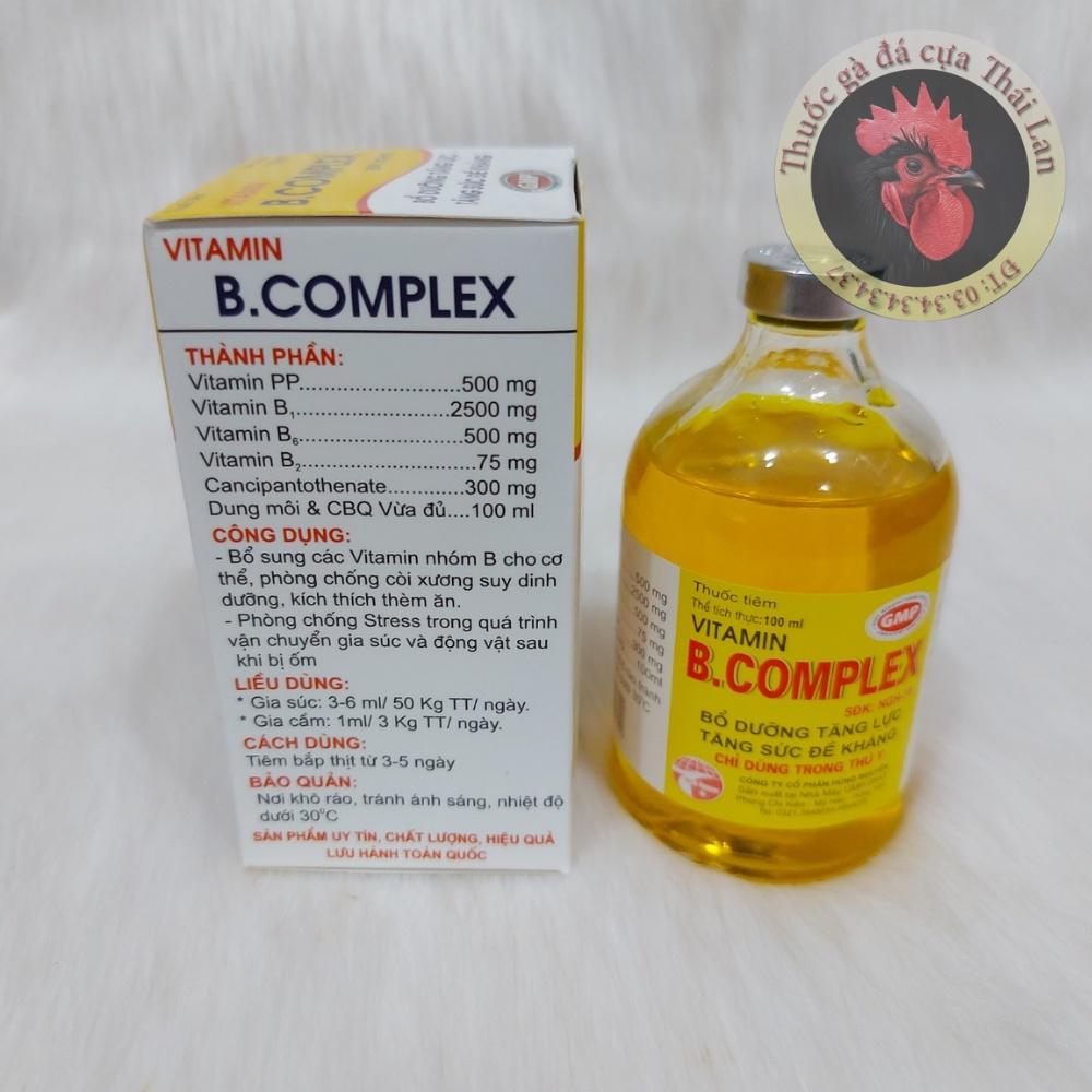 Vitamin B complex (bổ dưỡng tăng lực , tăng sức đề kháng) 1 lọ / 100ml