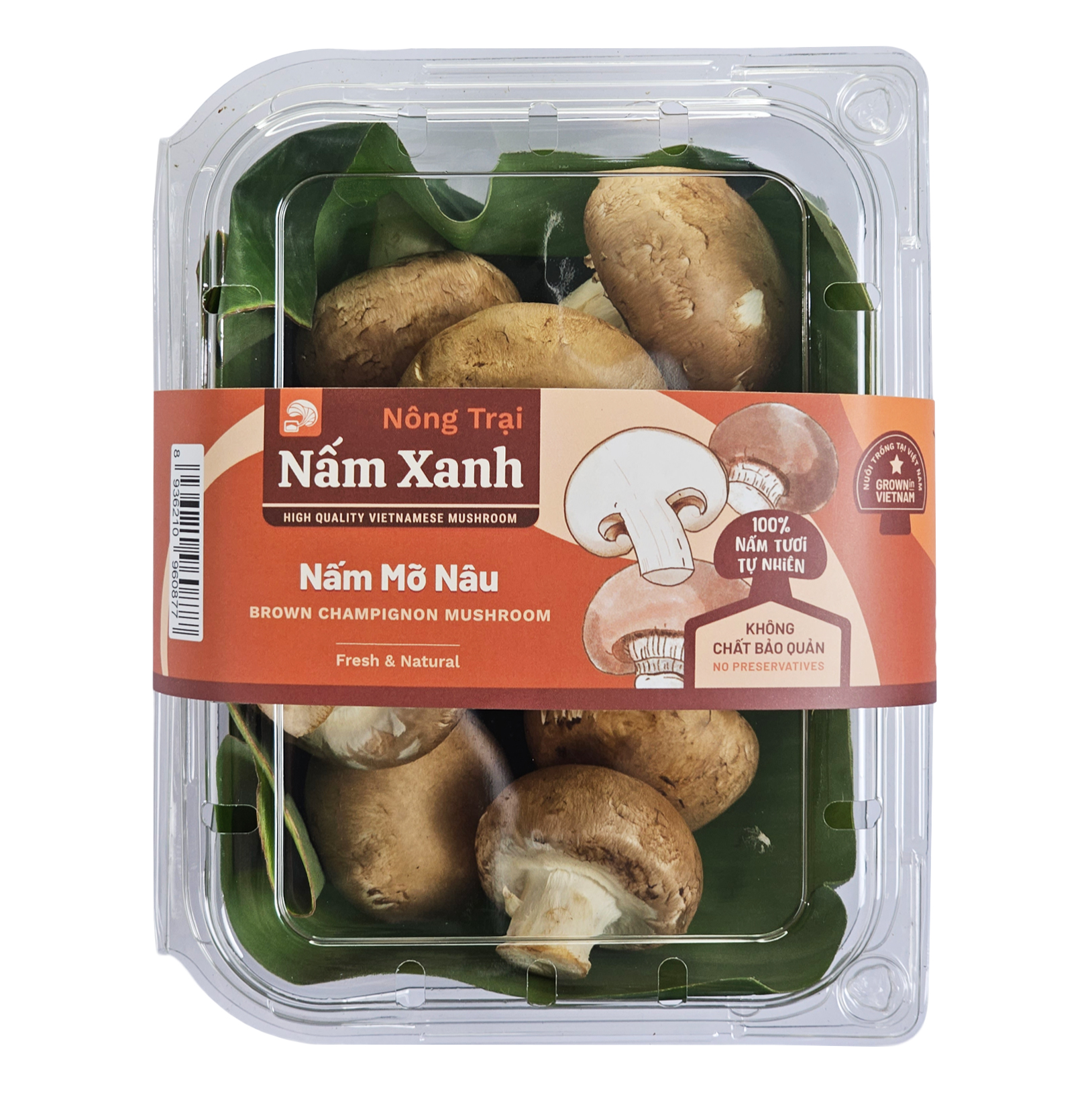 Nấm Mỡ Nâu Tươi 200gr Ngon Sạch - Nông Trại Nấm Xanh