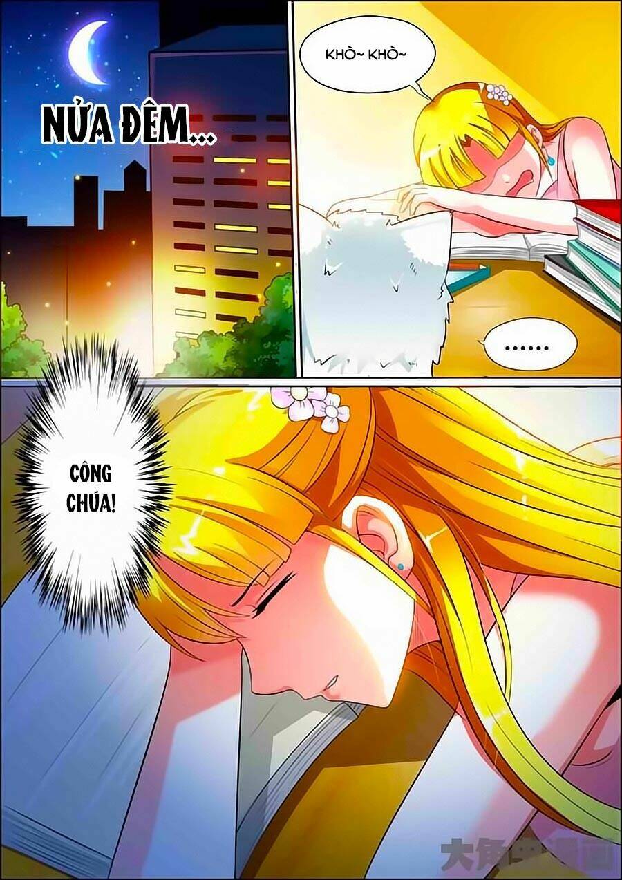 mau lấy con mèo đó ra chapter 10 6