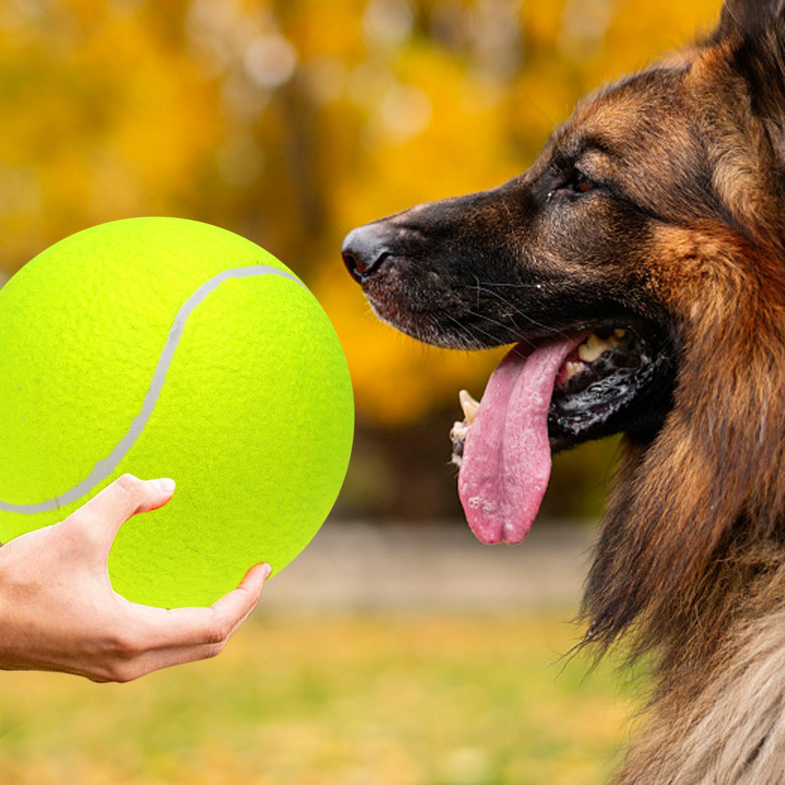 9.5‘’ Tennis Balls Inflatable Tennis Ball with Pump Dog Toy Balls For Signature Children Adult Pets Dogs Cats Fun