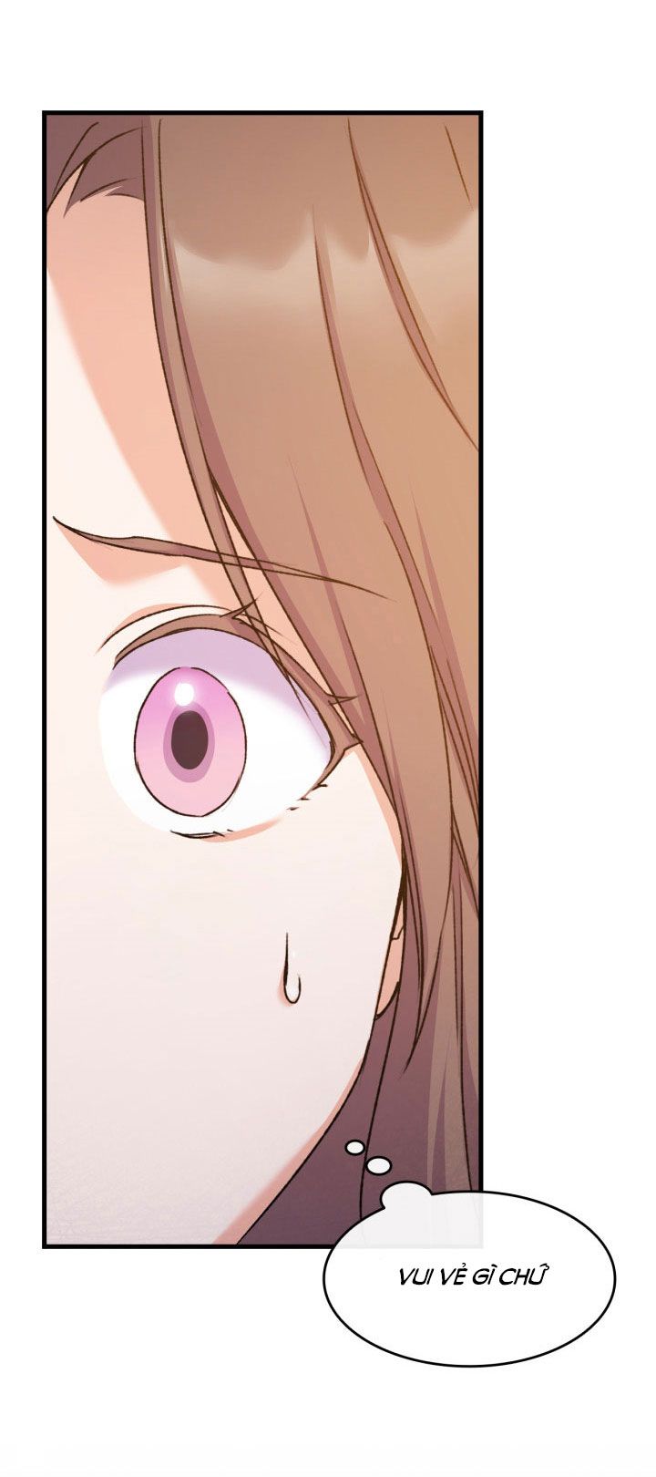 tôi định quyến rũ anh trai nhưng nam chính đã đến chapter 15 6