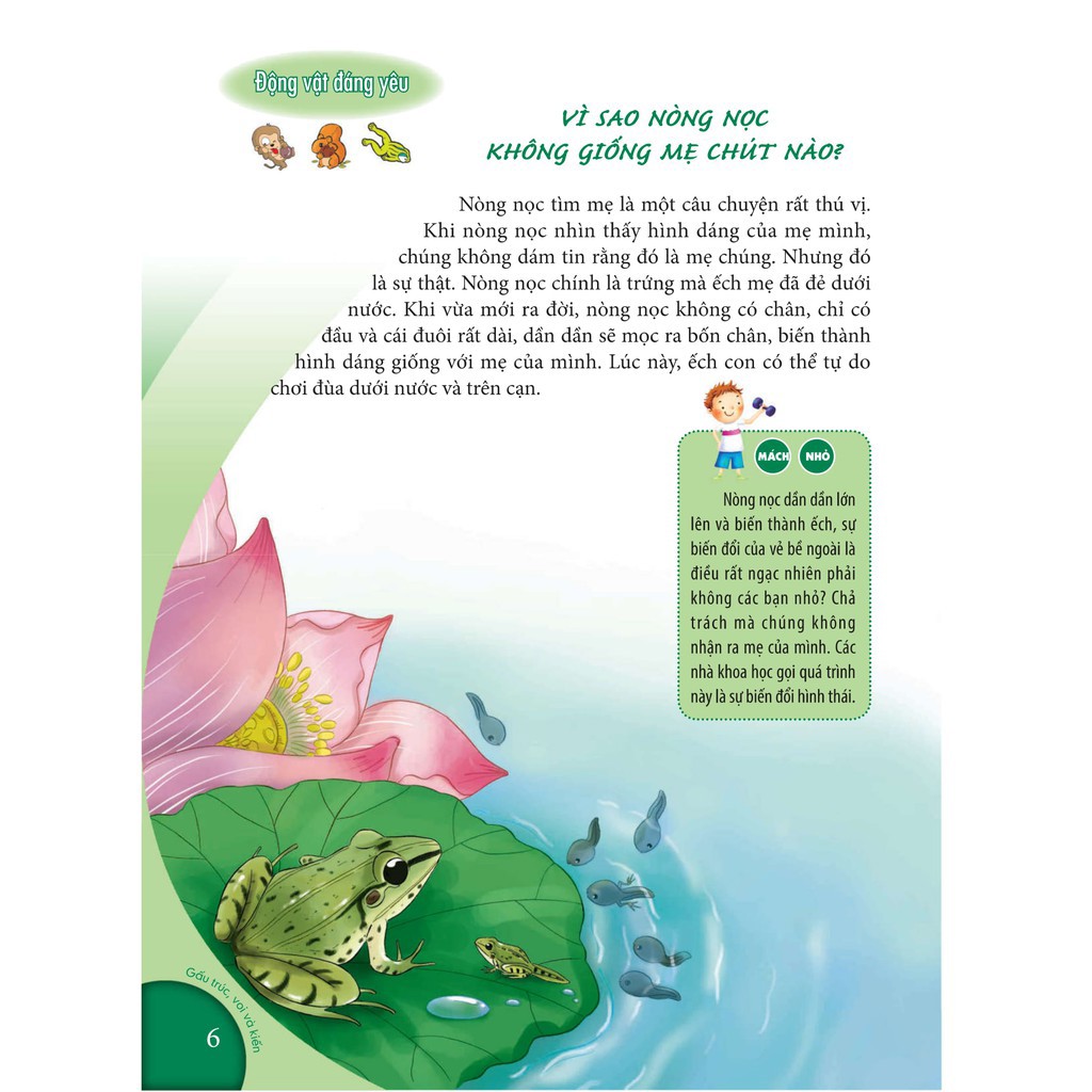 10 Vạn Câu Hỏi Vì Sao Dành Chó Thiếu Nhi: Gấu Trúc, Voi Và Kiến