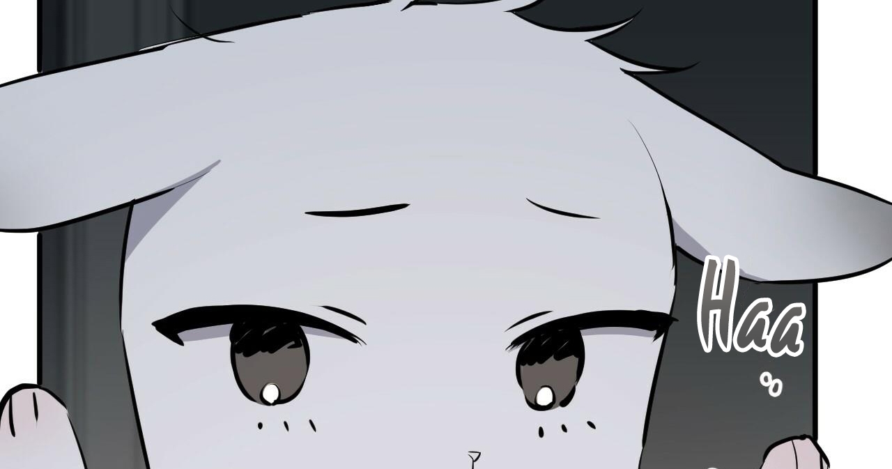 đàn thỏ của habibi chapter 47 24