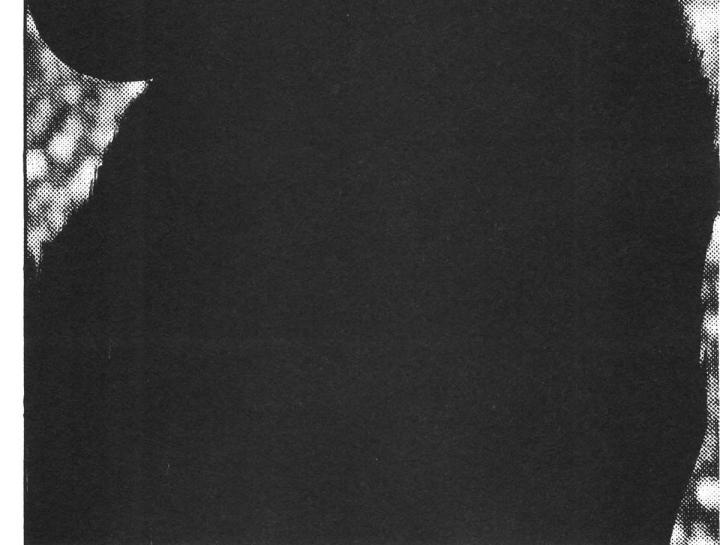 thánh tỏi sành ăn chapter 30 31