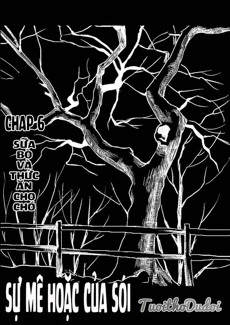 sự mê hoặc của sói chapter 6 1