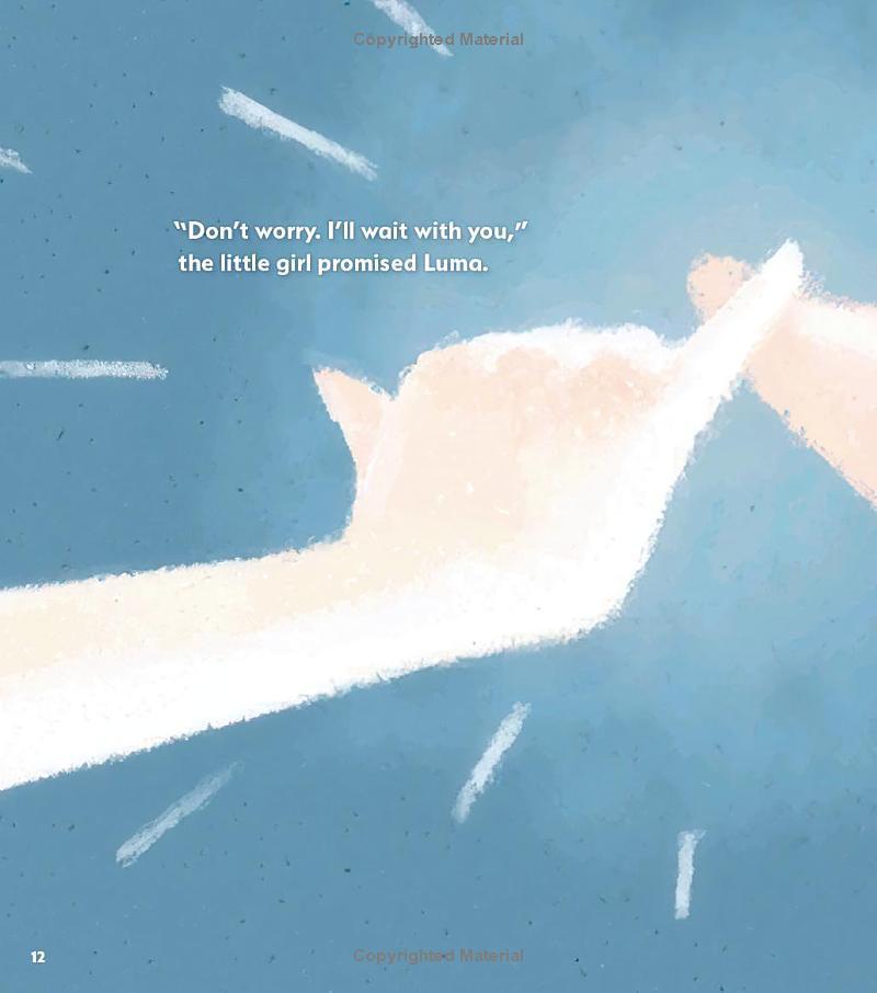 Sách ngoại văn: Rosalina's Storybook