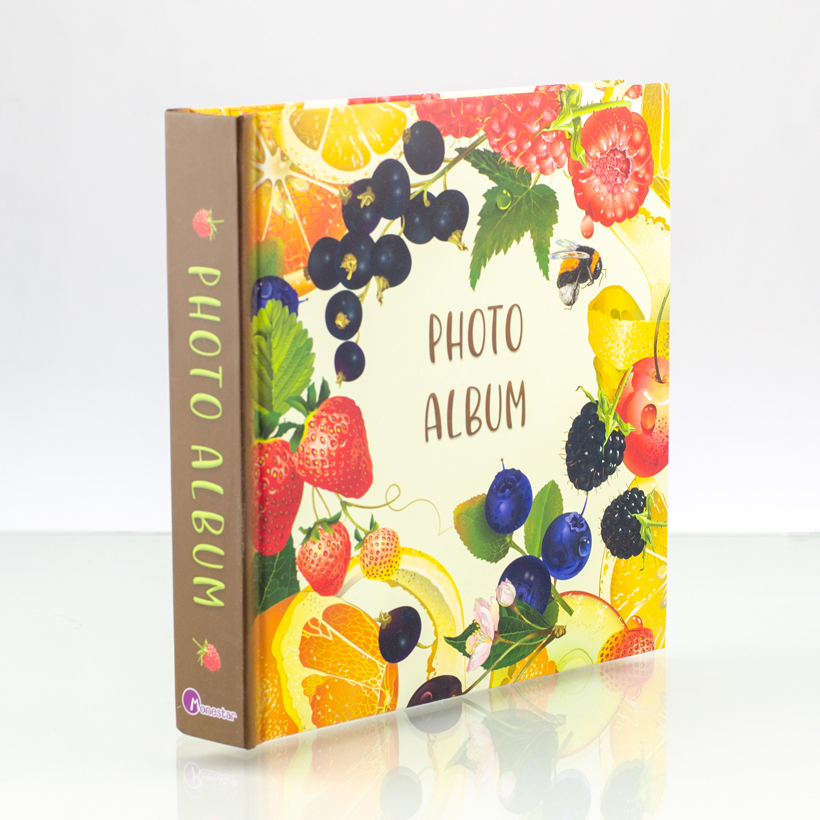 Album ảnh Monestar - 10x15/120 hình AS462-06