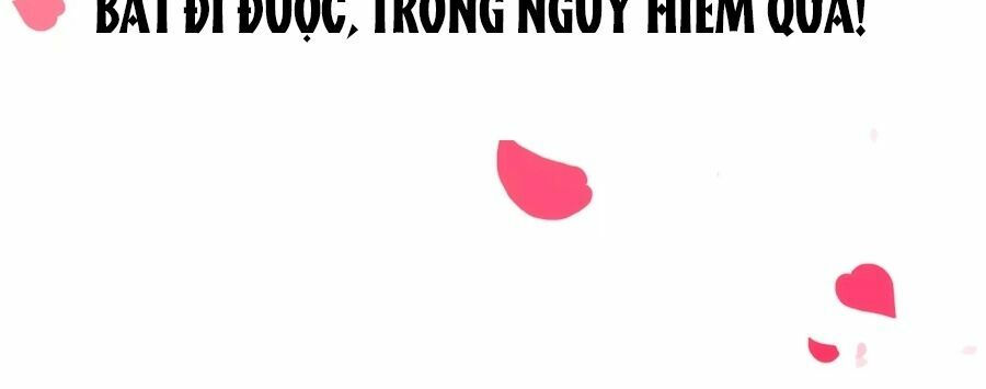 băng sơn tổng tài sủng thê đến vô đạo chapter 0 12