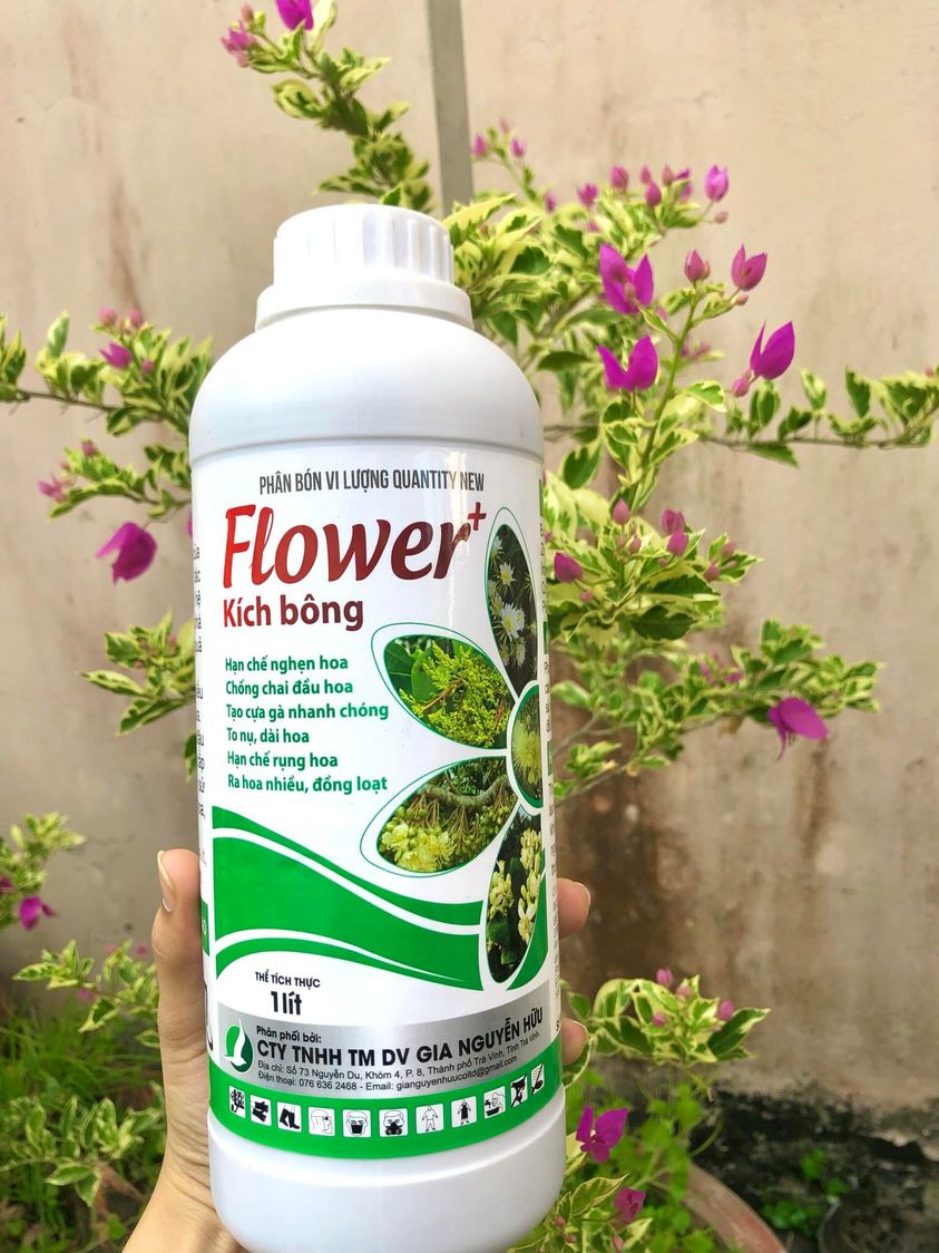 FLOWER KÍCH BÔNG (chai 1 lít) - DƯỠNG MẦM HOA, RA HOA ĐỒNG LOẠT