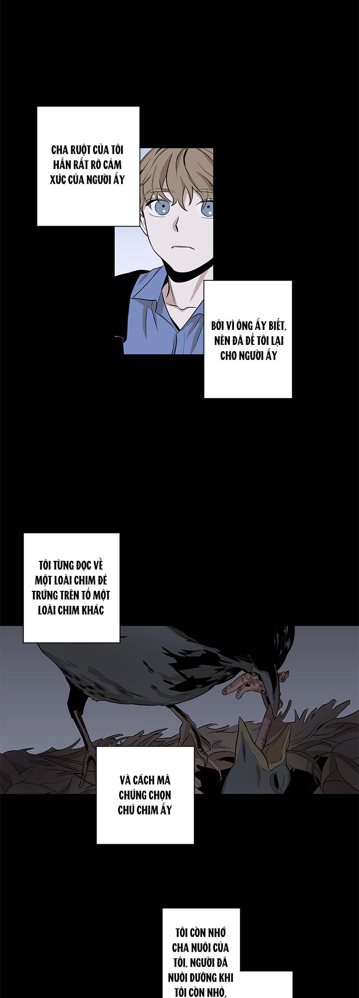 loài chim không bay chapter 5 19
