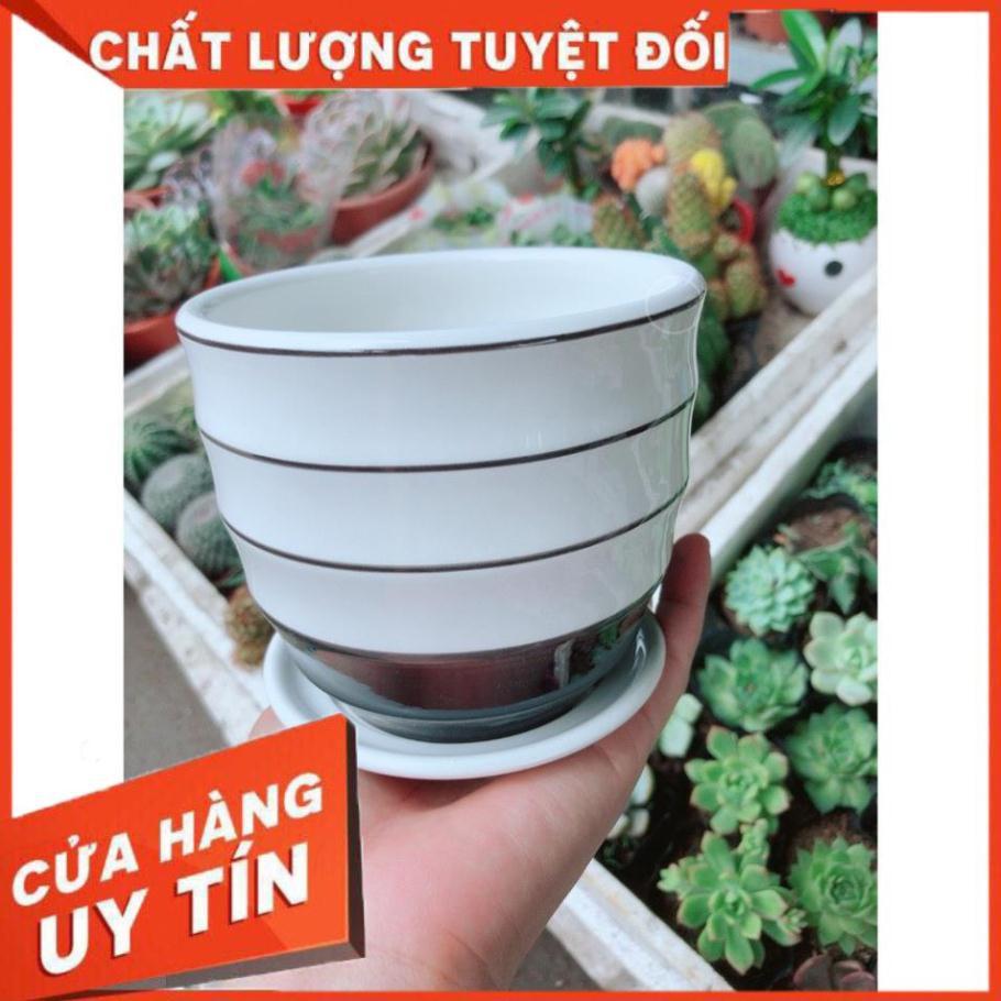 Chậu kiểu trắng đen tráng men cao cấp kèm dĩa lót