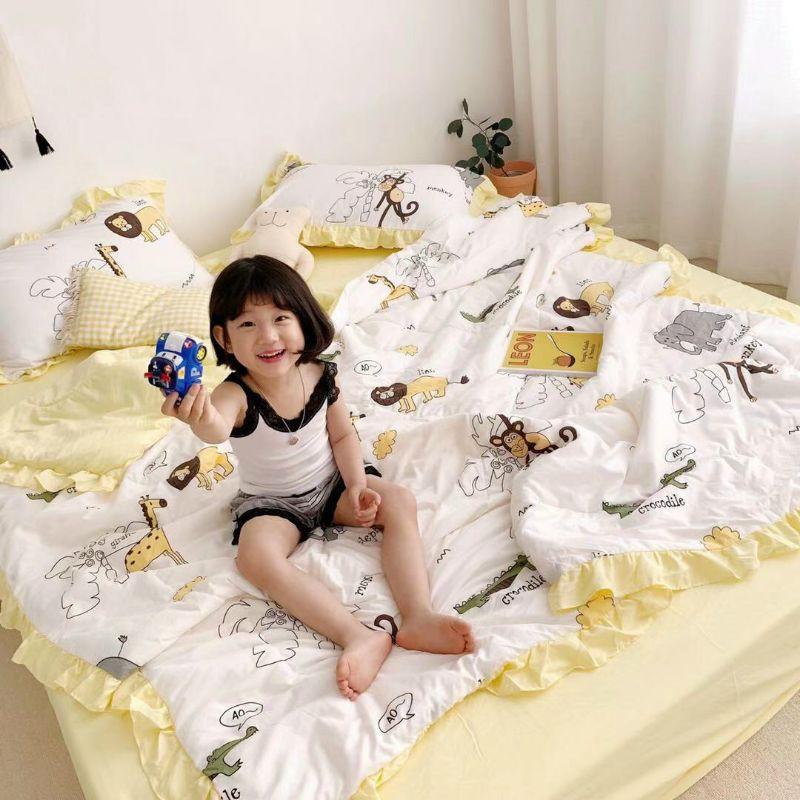 Bộ chăn ga gối Đũi bèo chăn hè trần bông đẹp miễn chê