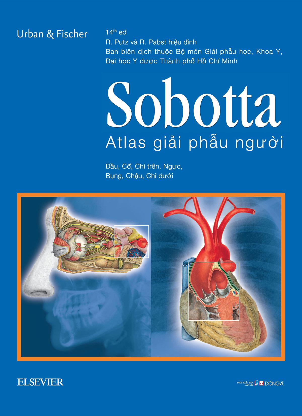 Sobotta 'Atlas' Giải Phẫu Người