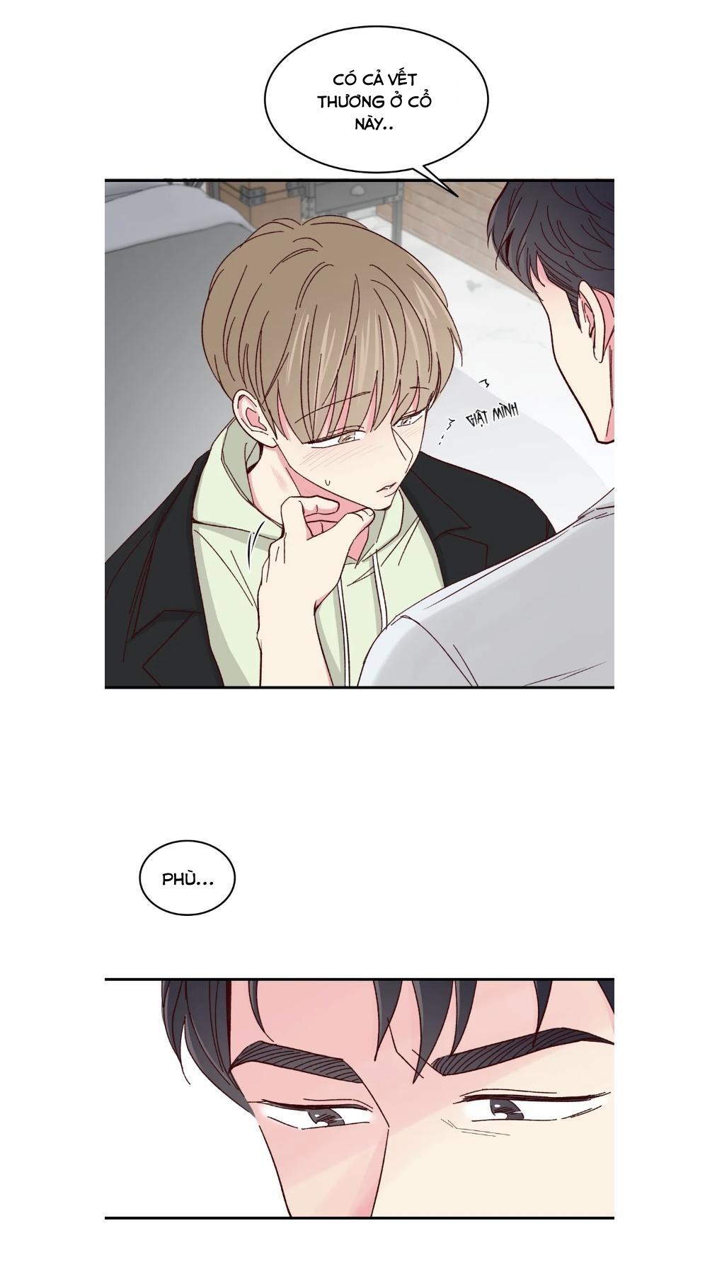 món tráng miệng của sếp tổng chapter 59 7