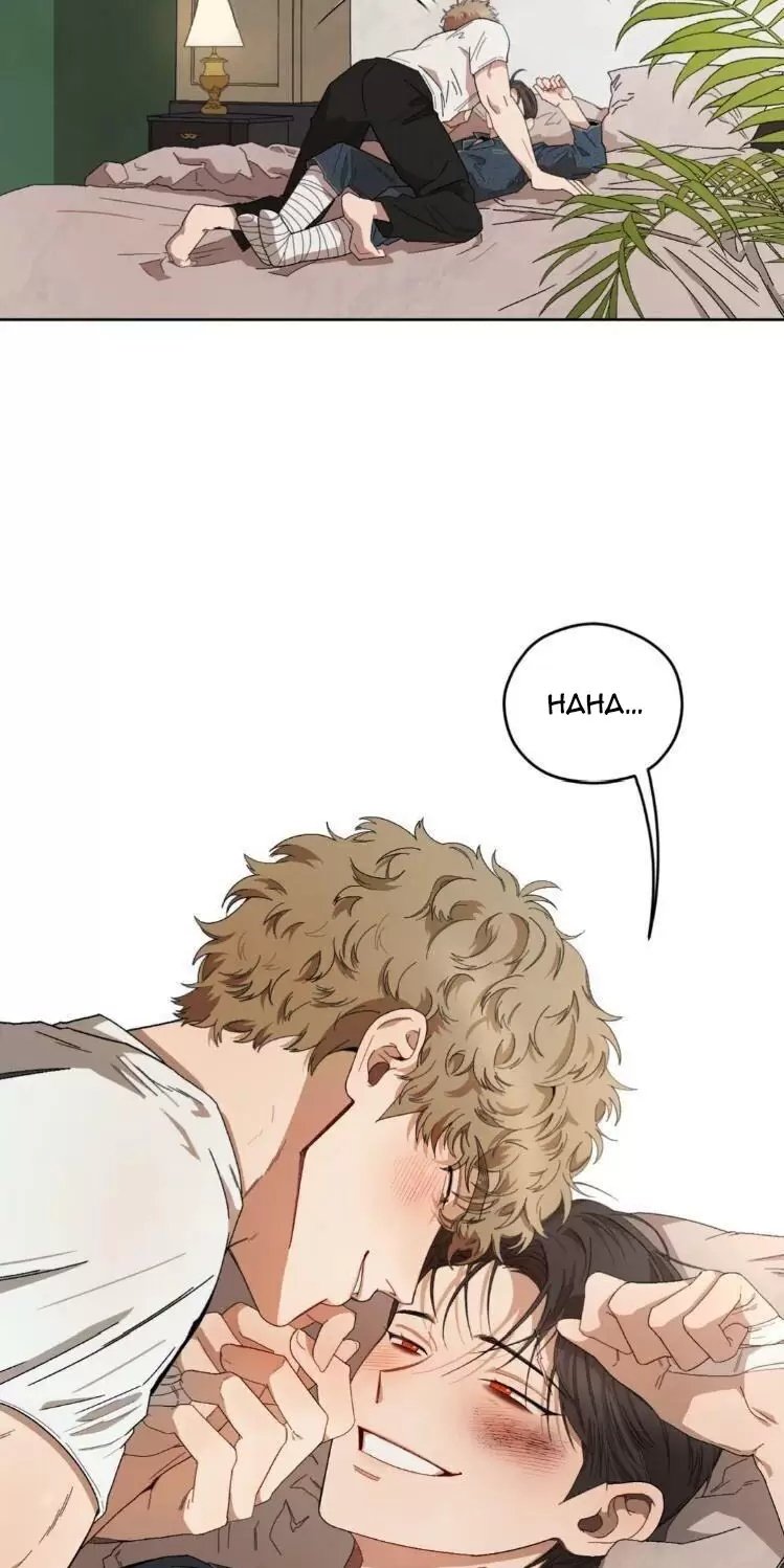 liveta chapter 38 65