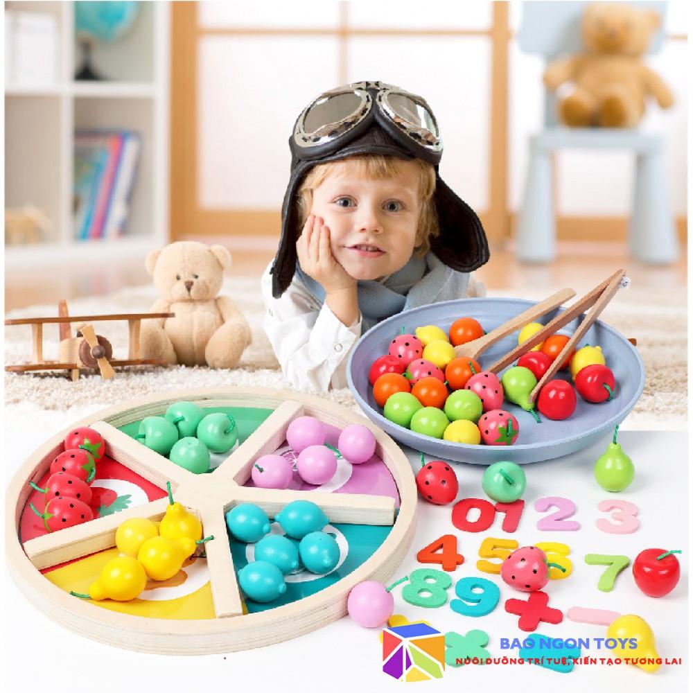 ĐỒ CHƠI GỖ SẮP XẾP HOA QUẢ, MÀU SẮC MONTESSORI 6 IN 1 GIÚP BÉ HỌC ĐẾM VÀ PHÁT TRIỂN VẬN ĐỘNG TINH