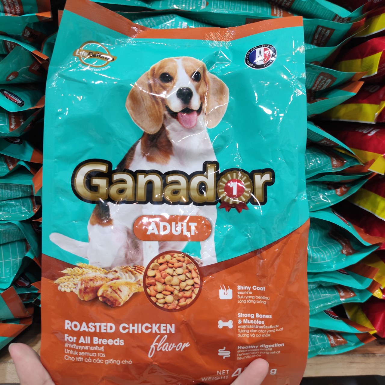 Thức Ăn Hạt Chó Lớn Ganador Adult Roasted Chicken Gói 400g
