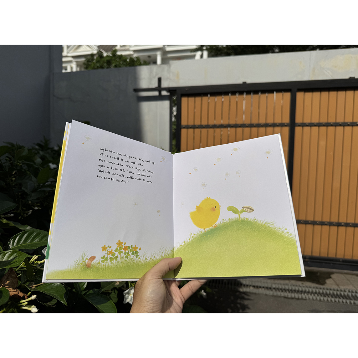 Sách Gà con và hoa hướng dương