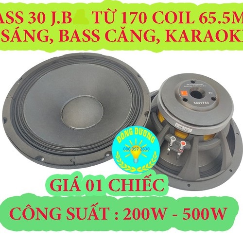 CỦ LOA KARAOKE BASS 30 (3 TẤC) JB TỪ 170 CÔN 66 XƯƠNG NHÔM SẦN GÂN VẢI 3 XẾP