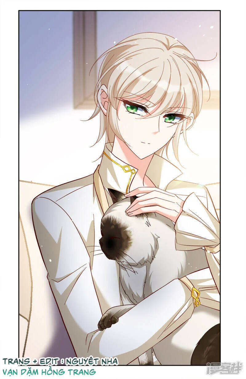 cô ấy đến rồi, xin nằm xuống! chapter 209 27