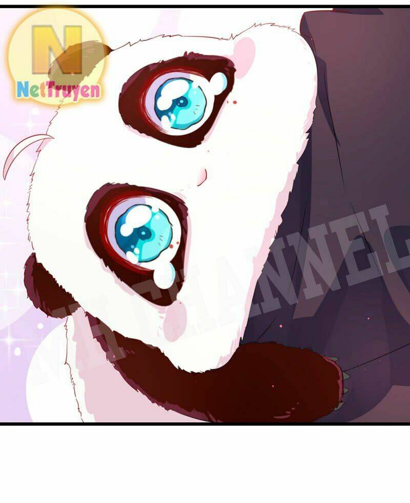 thiên thần gấu trúc muốn được ôm chapter 6 12