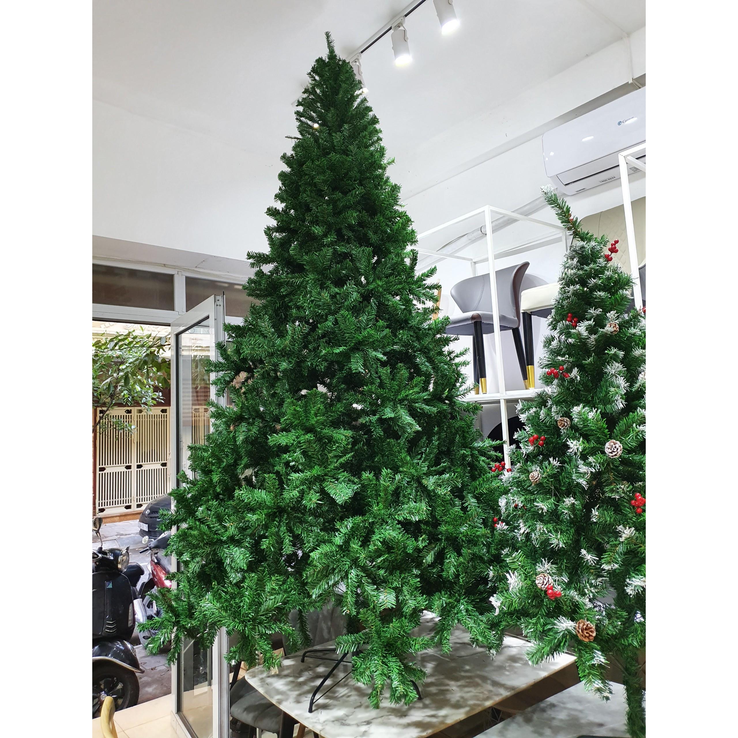 Cây thông noel 3m xanh dày lá