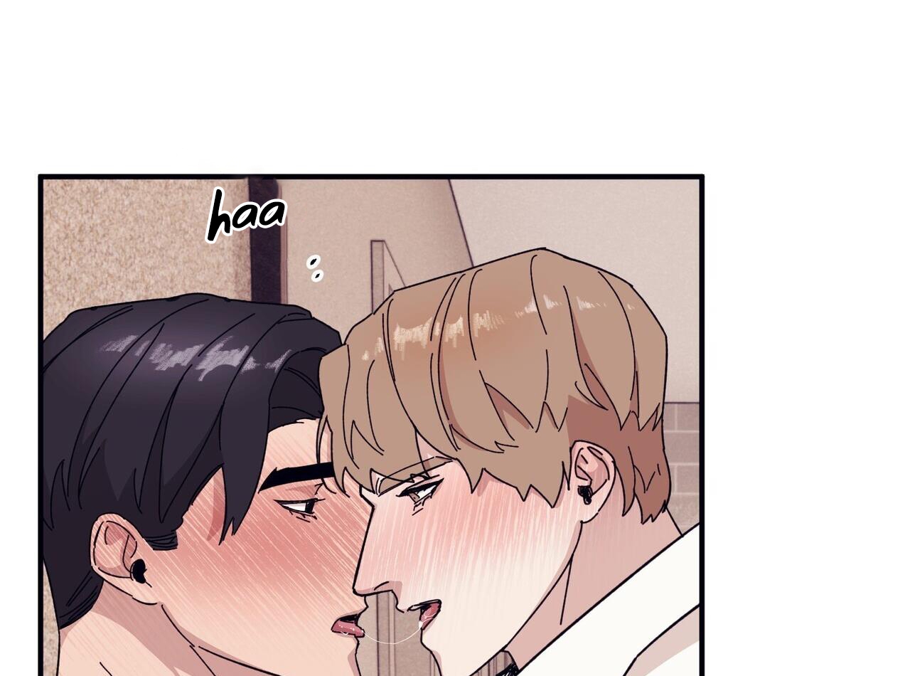 chàng dâu nhà họ kang chapter 44 19