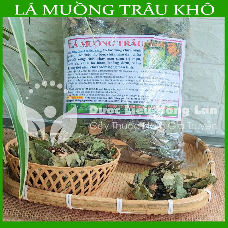 Lá Muồng Trâu khô đóng gói 500gram