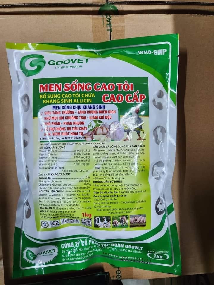 MEN SỐNG CAO TỎI CAO CẤP HÀNG CÔNG TY 1 túi 1kg