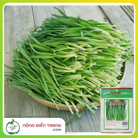 Hạt Giống Hẹ Cao Sản (Chives) Phú Nông - Gói 2g - Tỉ Lệ Nảy Mầm Cao, Nảy Mầm Nhanh, Sinh Trưởng Mạnh - VTNN Nông Điền Trang