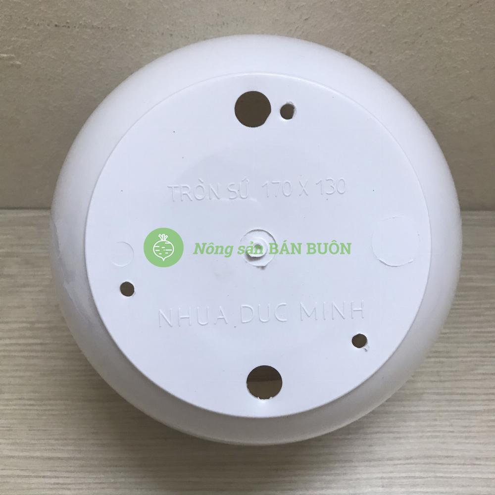 5 Chậu Trồng Hoa, Cây Cảnh Tròn Sứ 170x130 Có Kèm Đĩa Lót - Nhựa Đức Minh