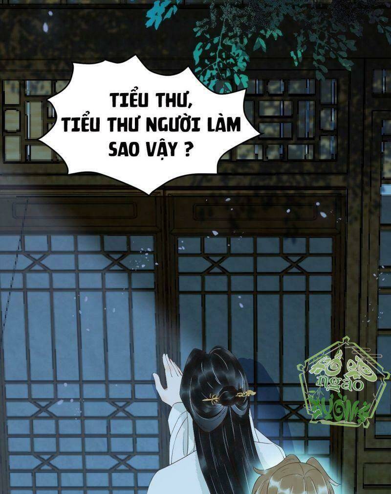 sát thủ vương phi không dễ chọc chapter 20 23