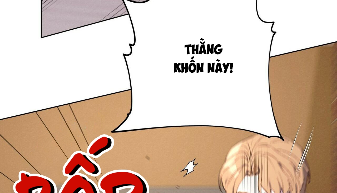 chàng dâu nhà họ kang chapter 27 56
