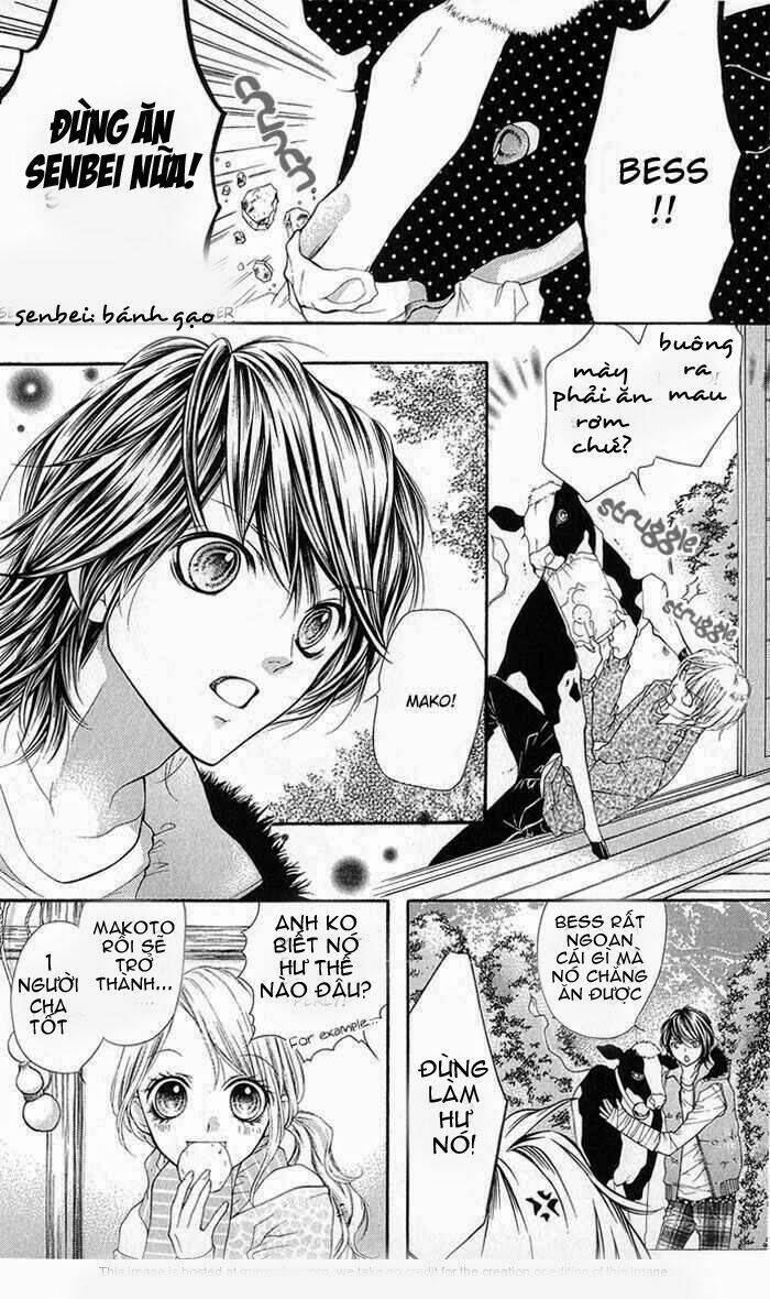 yamamoto zenjirou to moushimasu chapter 11 6