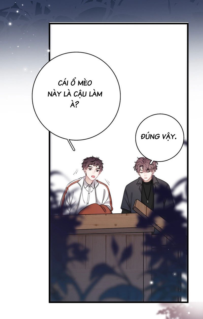 người đàn ông ấy khiến tôi không thể cưỡng lại chapter 11 36