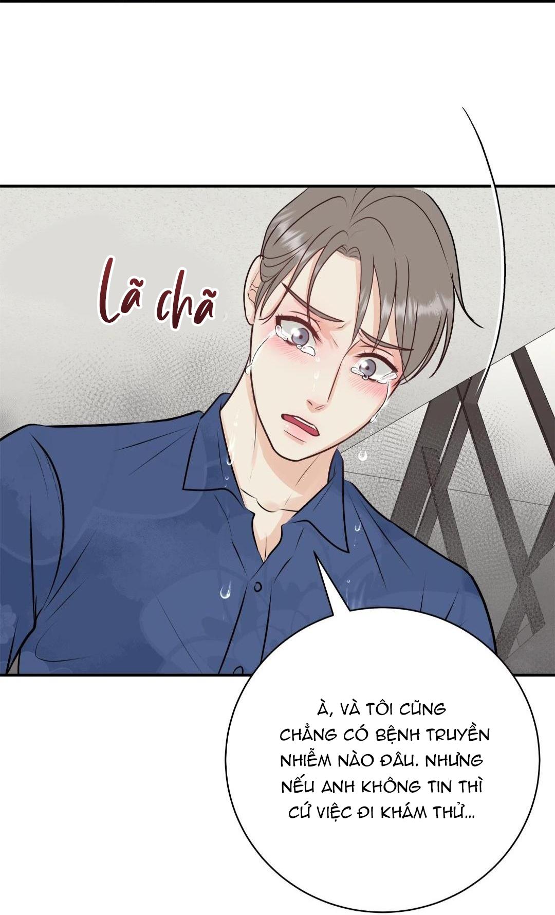 hạnh phúc trọn vẹn chapter 25 35