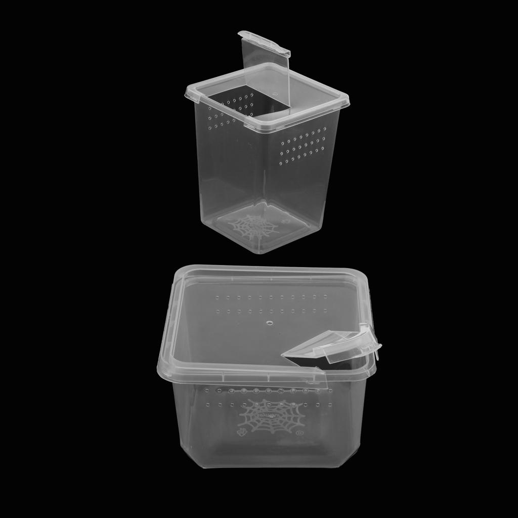 2Pcs 2 Size Plastic Insect Spider Habitat Feeding Breeding Box Container